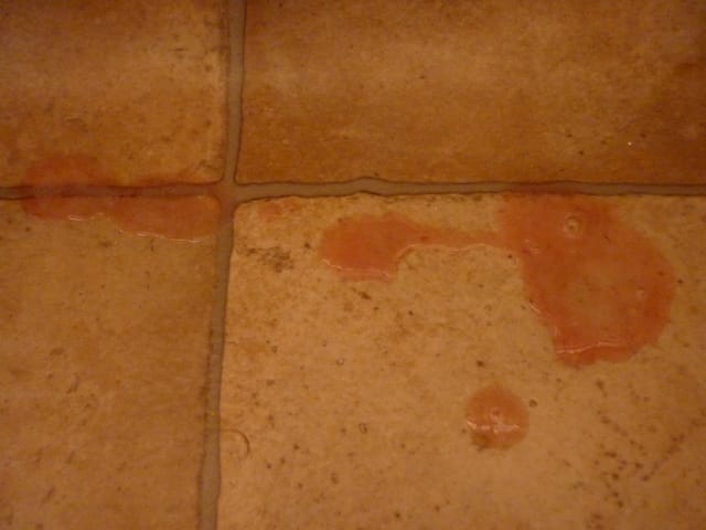 Mon chat vomis du rose !