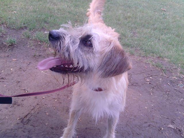 Bayka, encore et encore des nouvelles :)