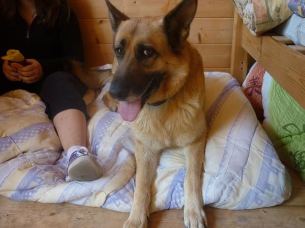 Une autres journée avec la miss (BAYKA)