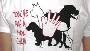 Touche pas a mon chien