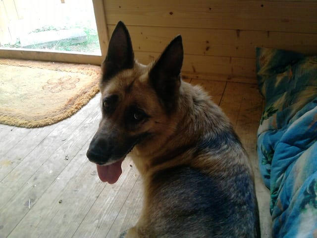 HELP ! Comment réussire a fatiguer Baïka ?