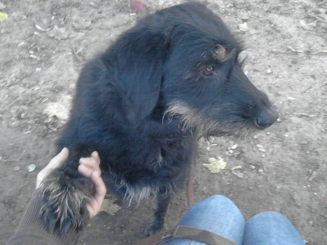 Une nouvelle copine !