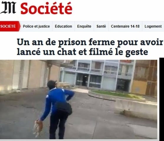 Un an de prison ferme