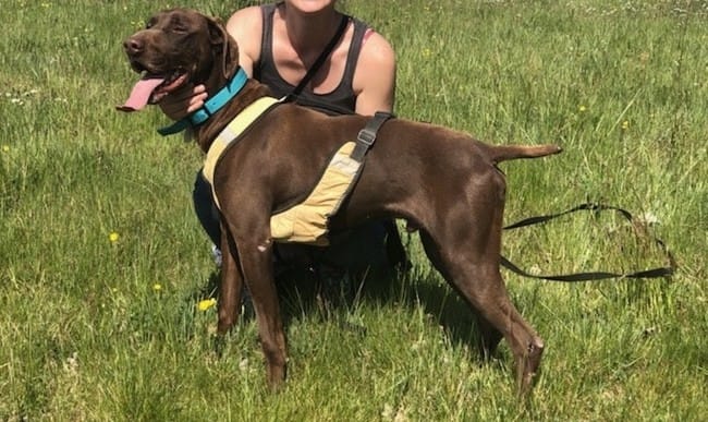 Milo fête aujourd’hui ses 2 ans d’adoption !