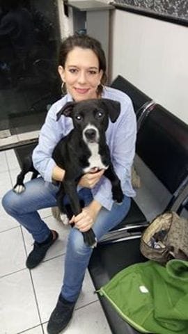 Roxy fait sa présentation