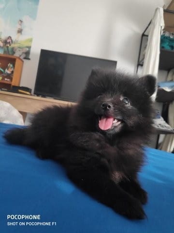 Vos conseils et experiences sur la propreté