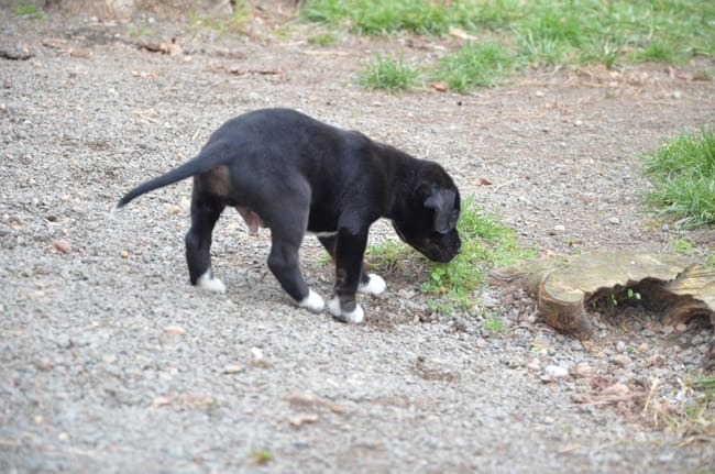 Une belle évolution pour Eno