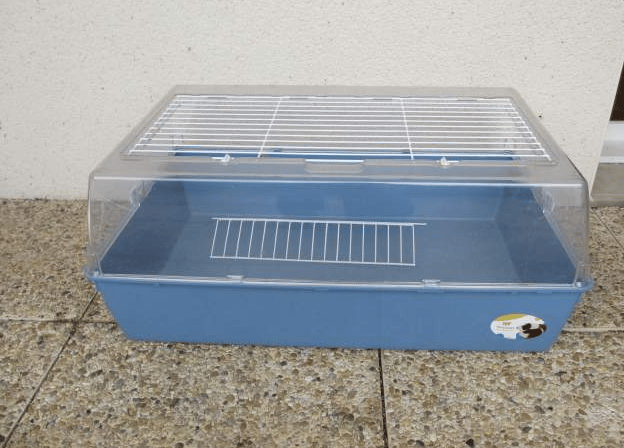 Nouvelle cage pour mon hamster nain russe