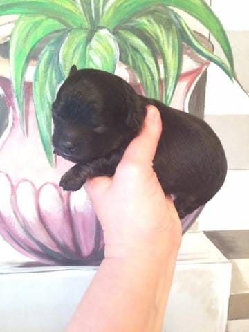 Bonjours jais besoin d'un conseil