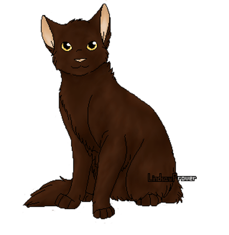 Quizz La Guerre Des Clans