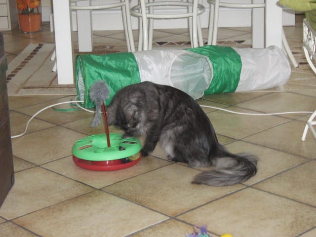 Interrogations au sujet des vaccins