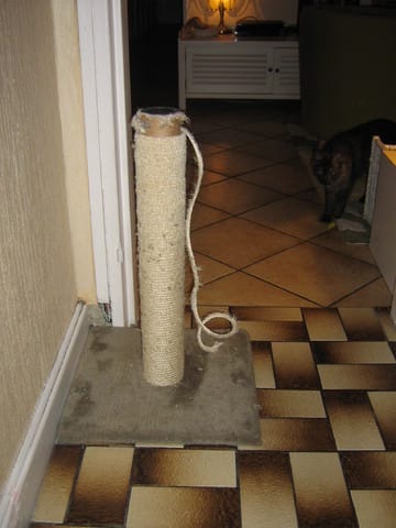 Sisal en sucette et noeud de chats