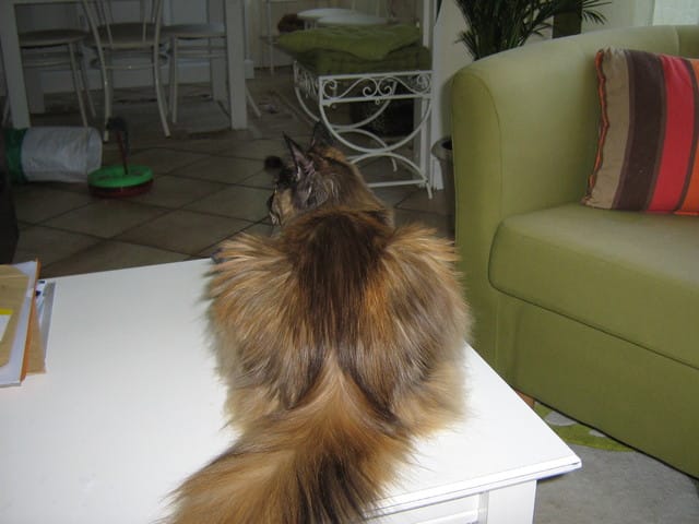 Attention aux effets secondaires cachés des médicaments