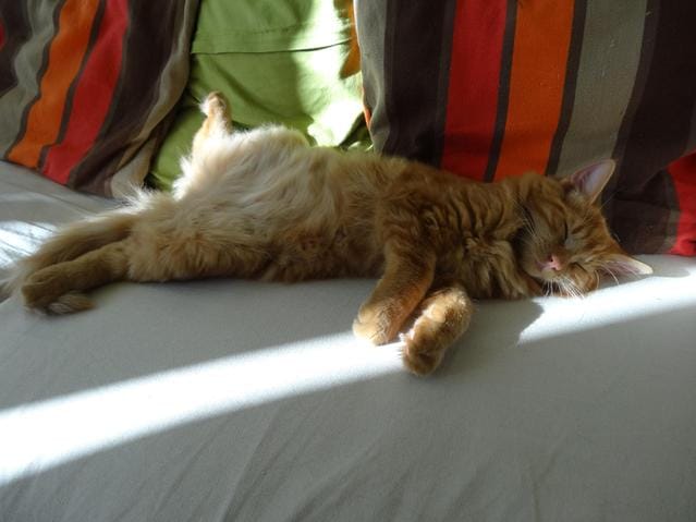 Coup d'amour et... de gueule :)