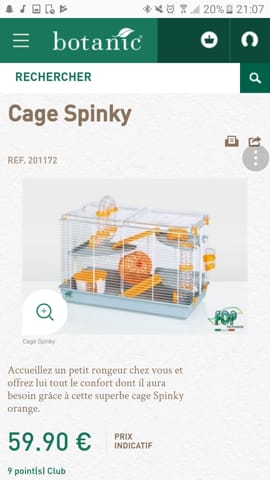 Adopter un Octodon