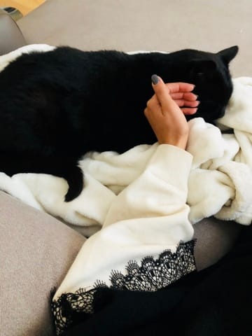 Besoin d’aide mon chat se réfugie après un accident