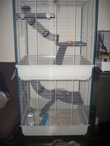 Vends une cage pour furet ou rat NEUVE XXL