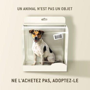 Choquée!