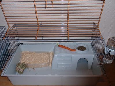 Faut-il mettre de la litière partout dans la cage de mon lapin ou dans un bac ?