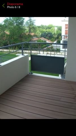 Chaton et balcon