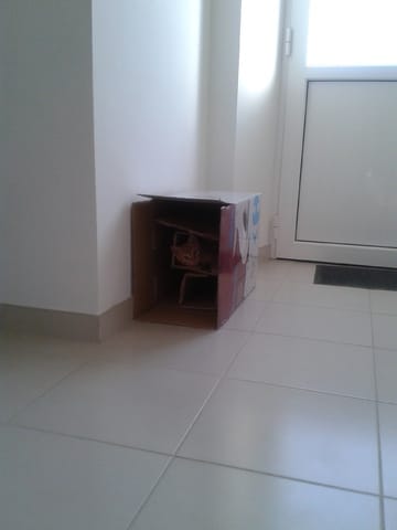 cache cache