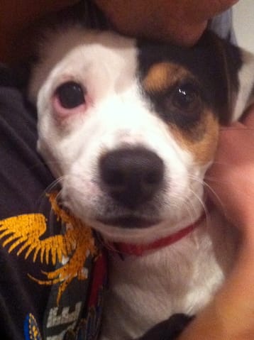 fiona cherche un amoureux