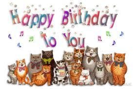 Bon anniversaire WAMIZ
