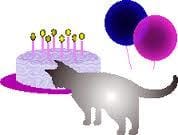 Joyeux anniversaire Marjo38...la la la la la