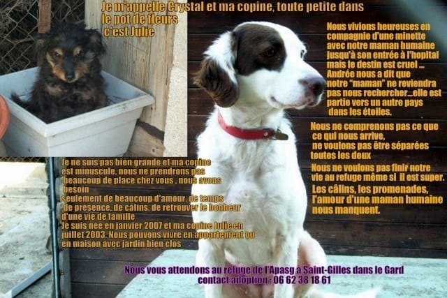 SOS Recherche maître