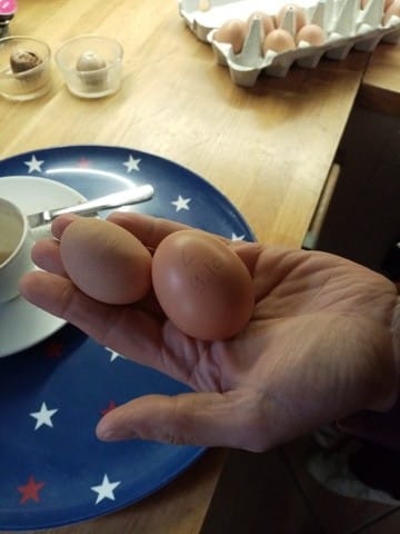 (encore) un problème avec les œufs dema poule