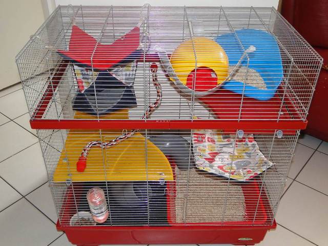 Le nouvel aménagement de ma cage (rats)