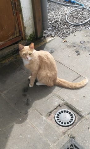 Rémy, mon sauveur.