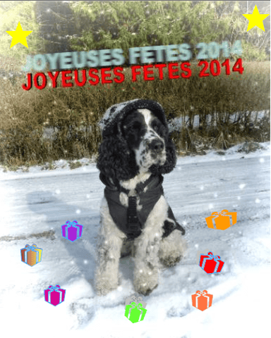 Joyeuses fêtes 2014