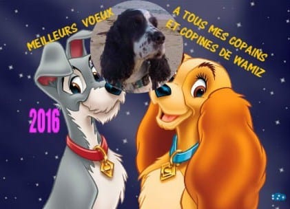 PHOTOS VOEUX 2016
