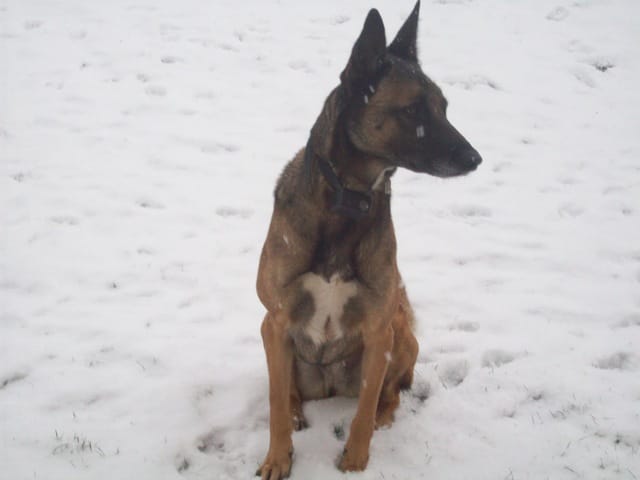 Echange de garde vacances