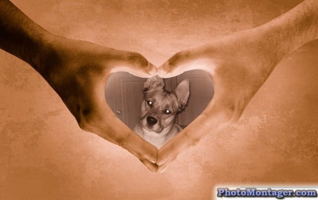 svp... du soutien !! 