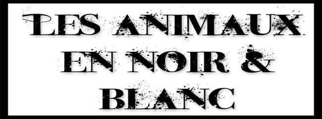 Concours mensuel n°1
