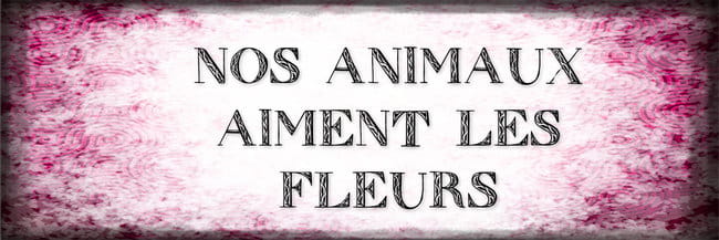 Concours mensuel n°3