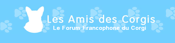 Forum francophone sur les Welsh Corgi (cardi et pem)