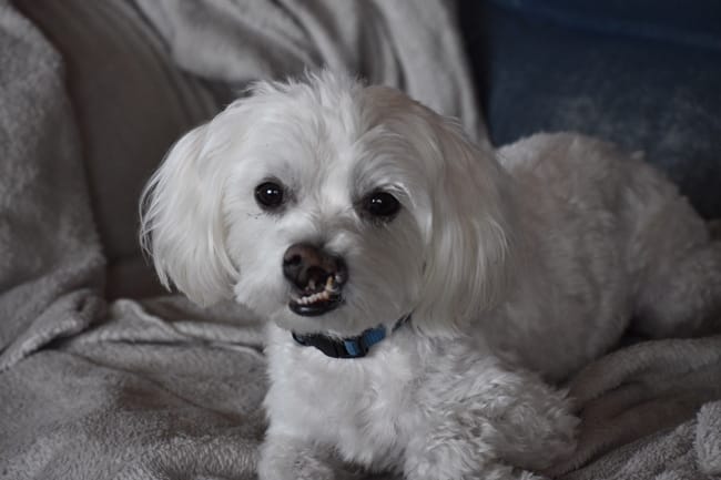 Surprise pour Mamanelfie