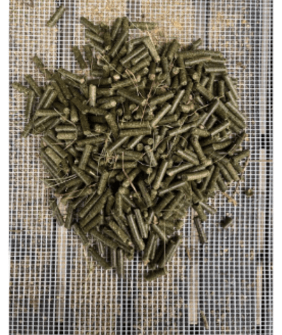 Peut il manger ça? Oui ou non ?