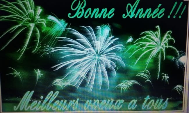 BONNE ANNEE A TOUS