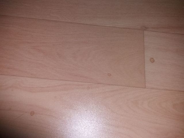 Gouttelettes rouge-brunes laissées par ma minette