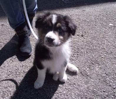 Besoin de votre avis