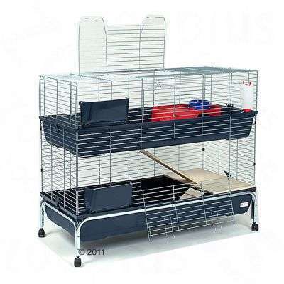 La nouvelle cage de Biscuit !