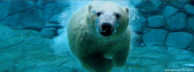 Votre animal sauvage préféré ?