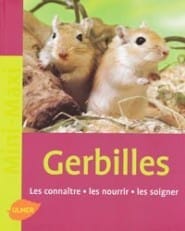 Besoin de la gerbille ?!