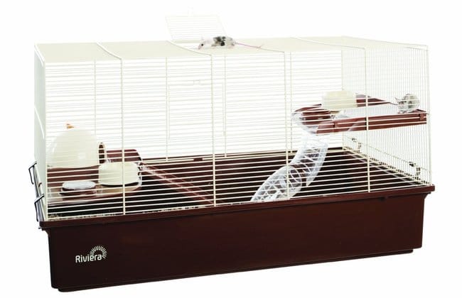 Quel cage pour une souris ?!