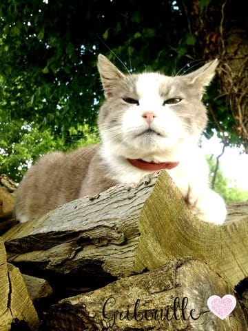 La raison de mon bonheur la cause de mes sourires ...