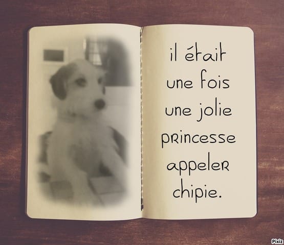 concour meilleur montage